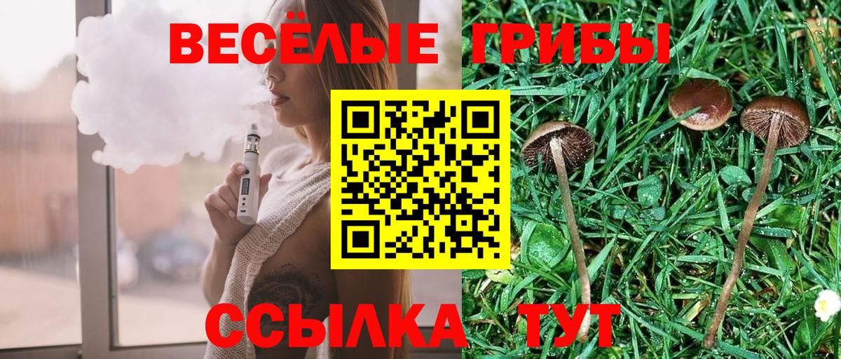 Псилоцибиновые грибы мухоморы  Псилоцибиновые грибы прущие грибы  Карпинск  Вход с VPN 